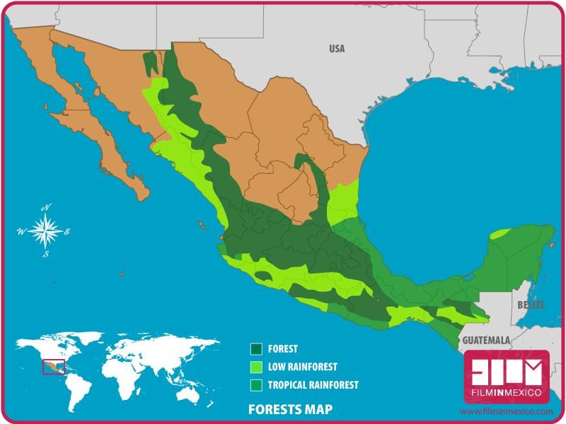 mapa do México florestas