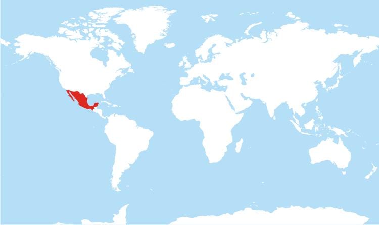 localização do México no mapa
