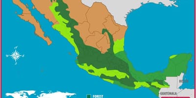 Mapa do México florestas