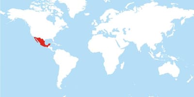 Localização do México no mapa