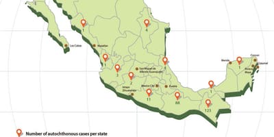 Zika do México mapa
